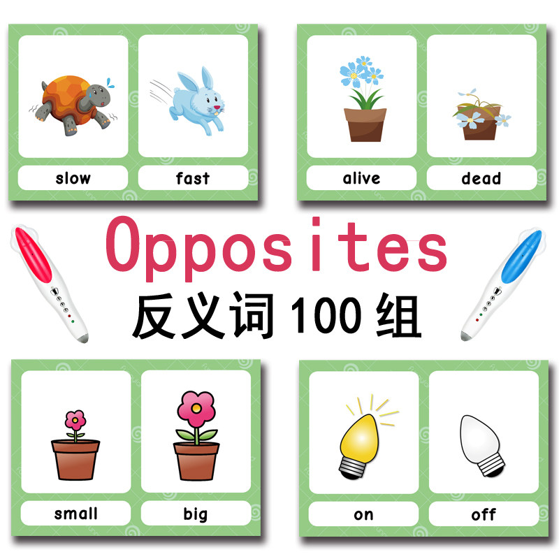 100 Gruppi di Carte Flash con  - Kids Toys And Games recensione e prezzo
